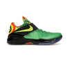 Nike KD 4 Weatherman